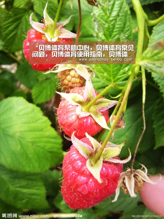 ‘贝博体育帮助中心,贝博体育常见问题,贝博体育使用指南,贝博体育客服,贝博体育教程’焦作危化品企业集中签订承诺书(图4) 贝博体育帮助中心,贝博体育常见问题,贝博体育使用指南,贝博体育客服,贝博体育教程